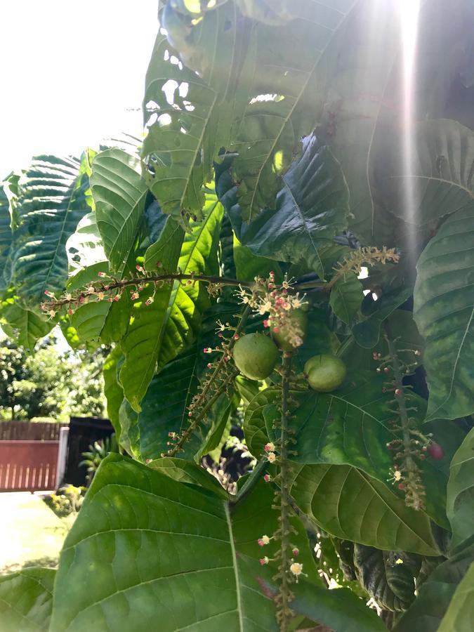 Marama Lodge Punaauia Kültér fotó